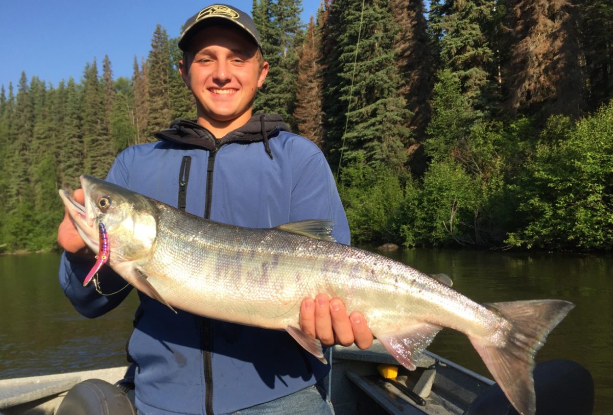 Chum Salmon Fishing and Photos near Anchorage, Alaska