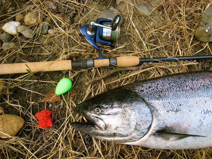 May 2024 Fishing Reports - Alaska Fishing Guide | Fishtale River Guides