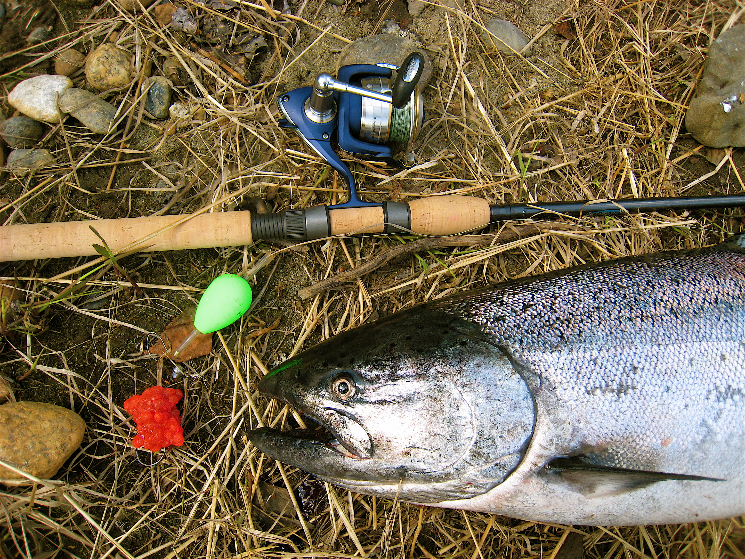 Best Fishing Line 2023 - Fish Alaska Magazine