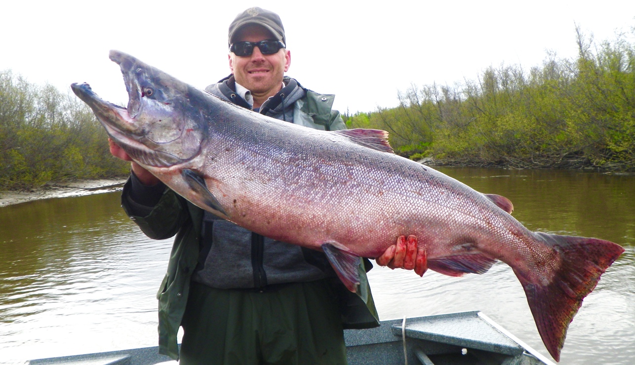 big flat fish in alaska